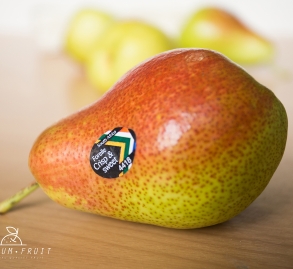 fruit