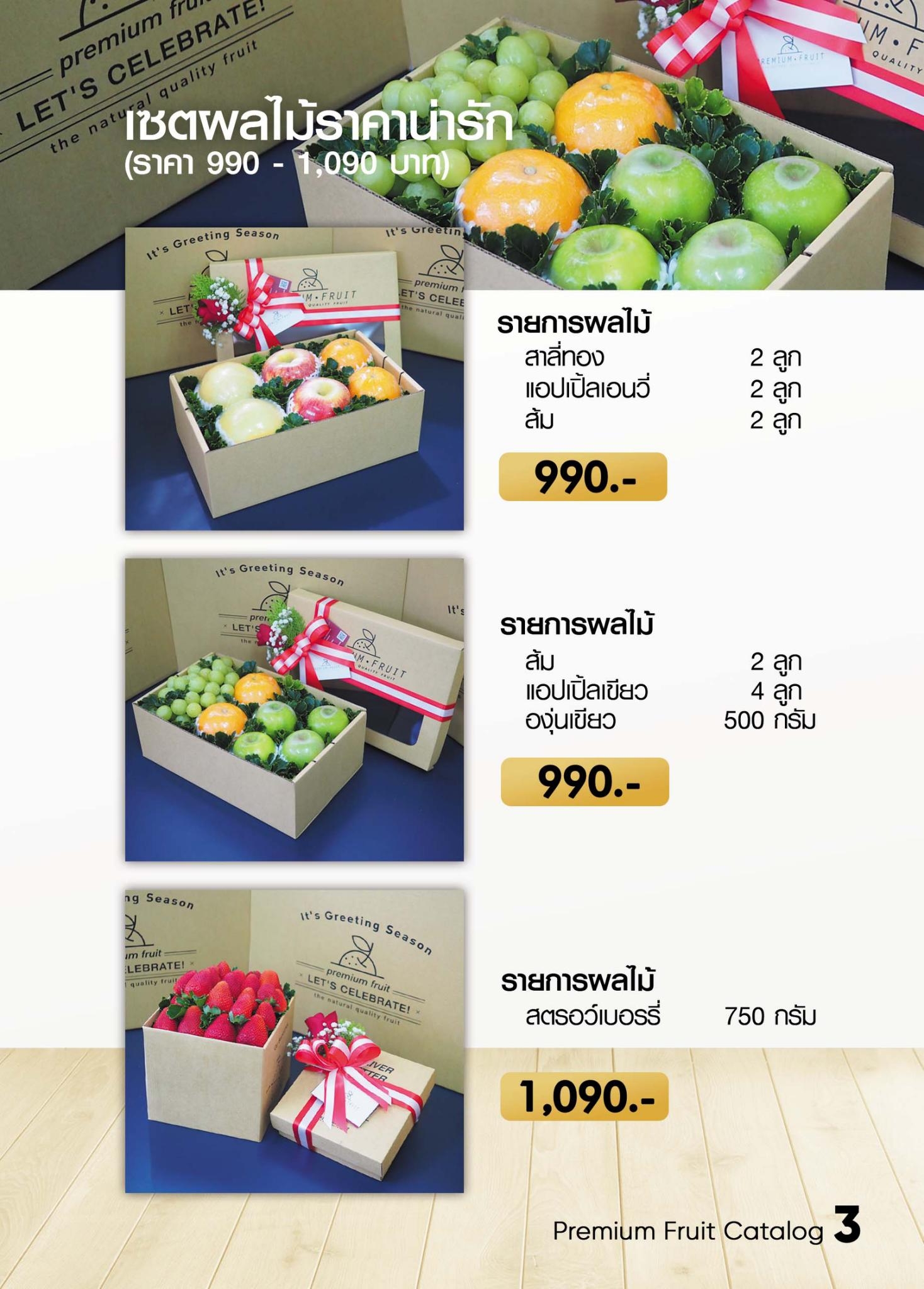 catalog