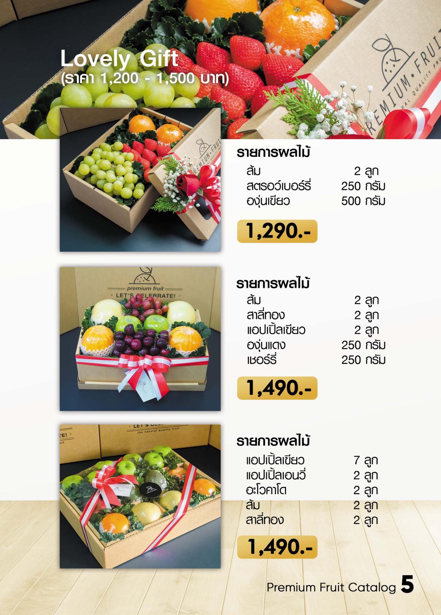 catalog