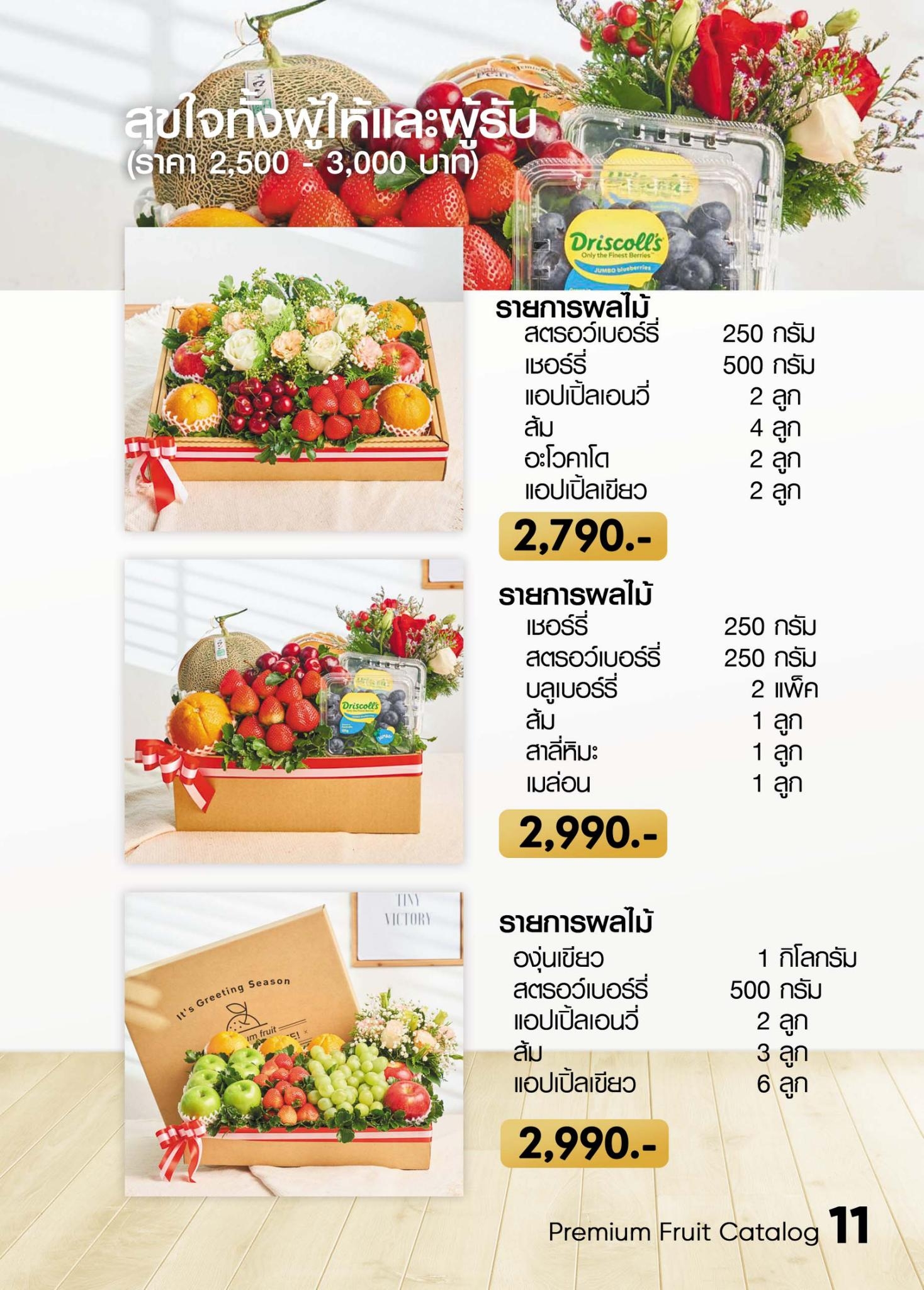 catalog