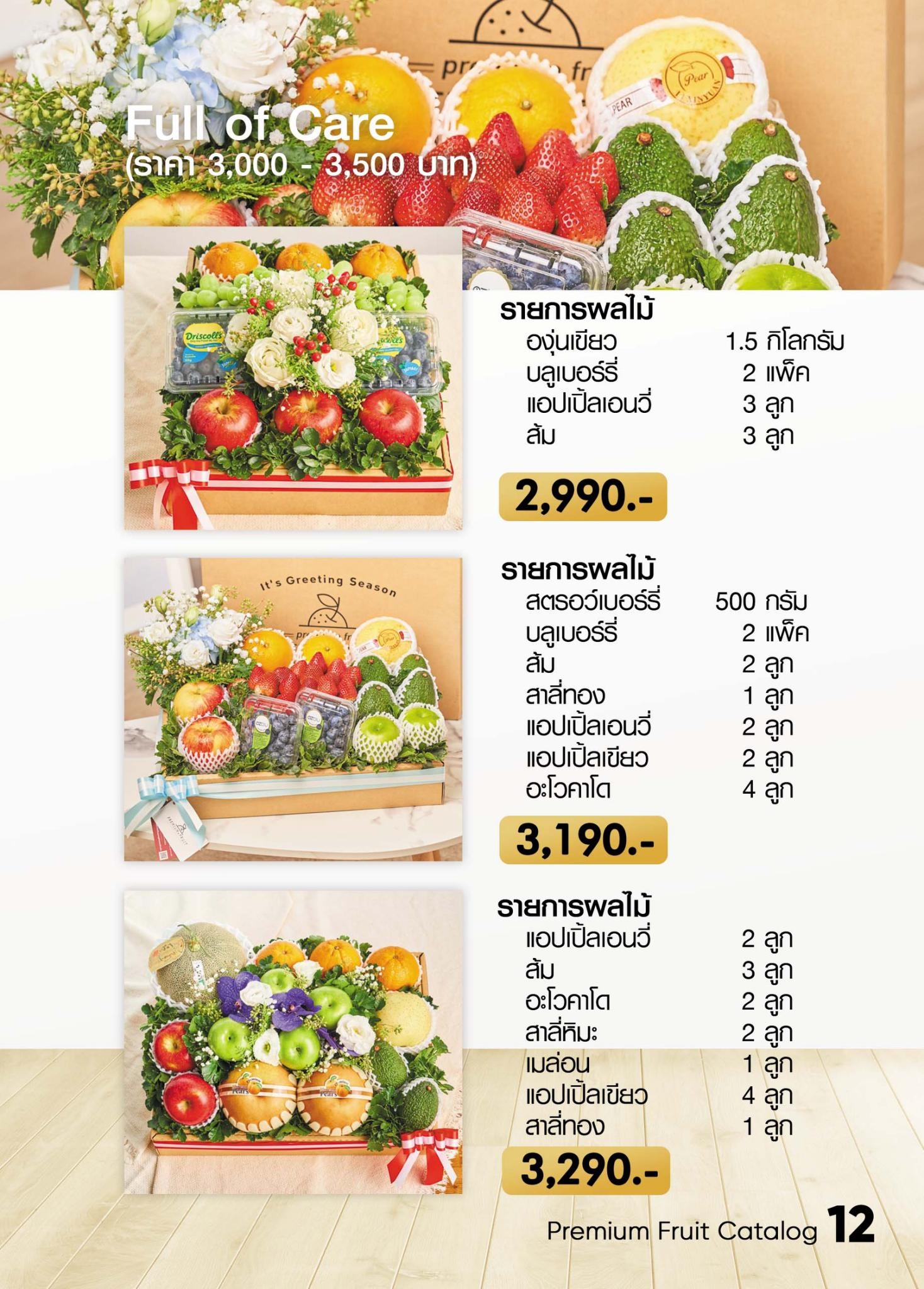 catalog