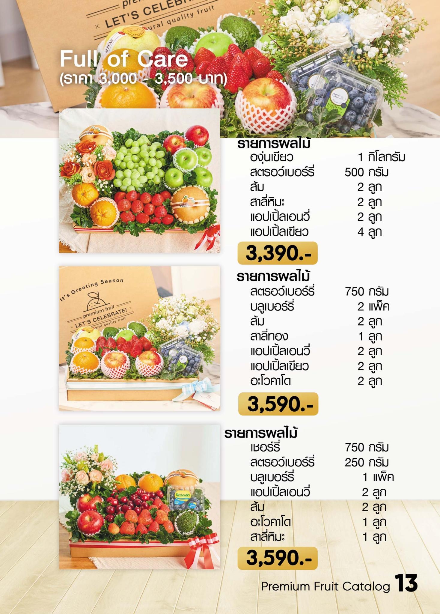 catalog