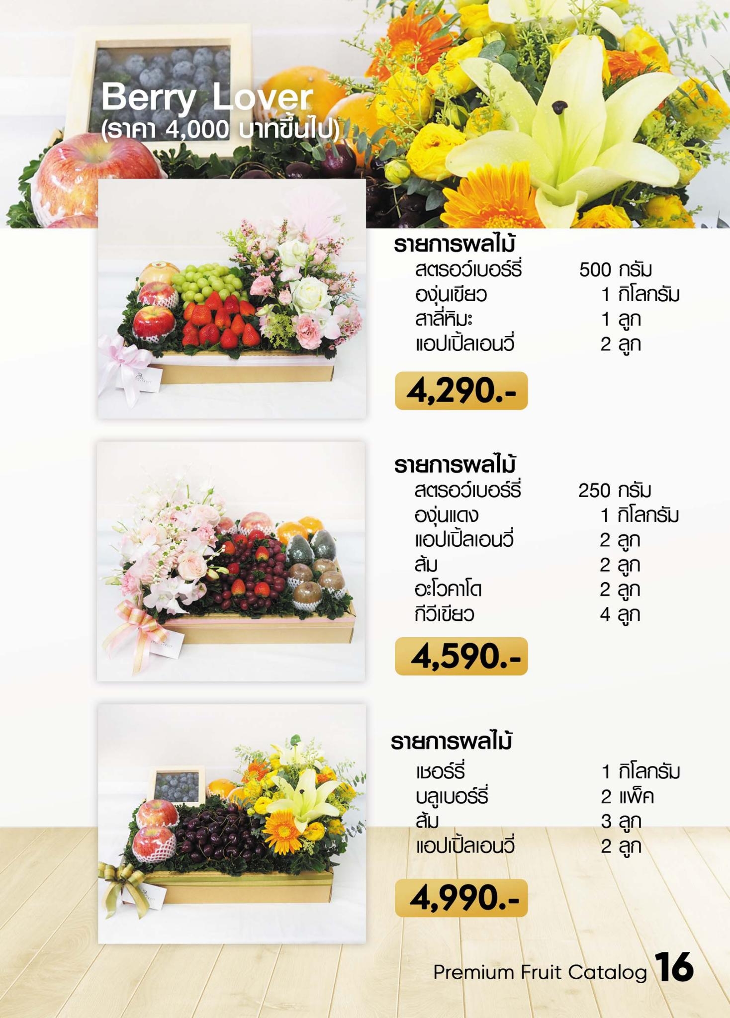 catalog