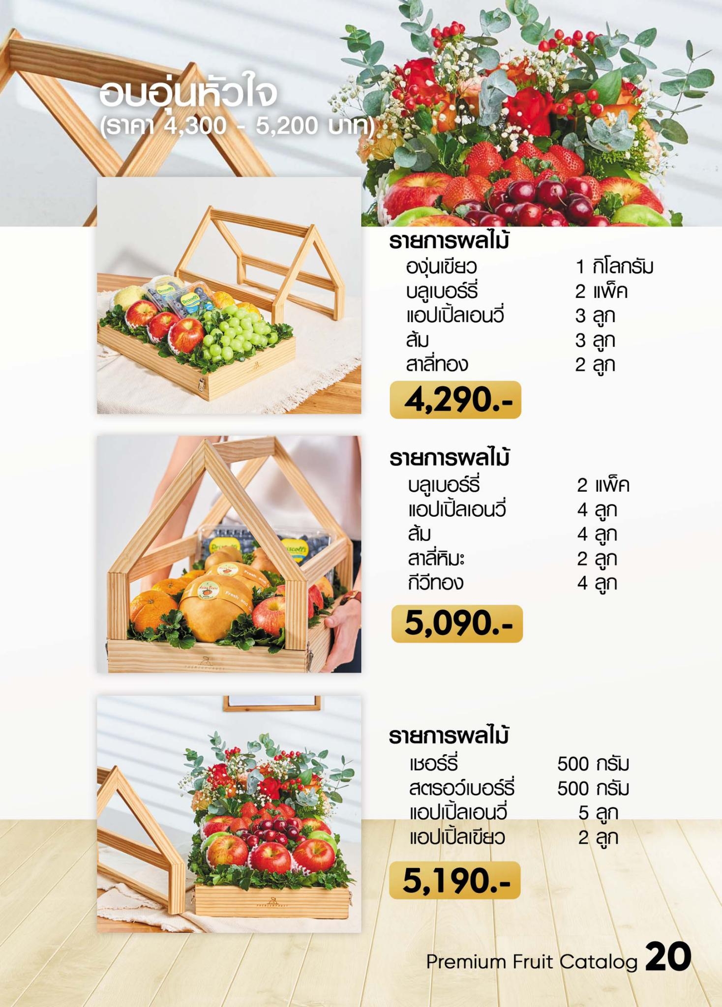 catalog