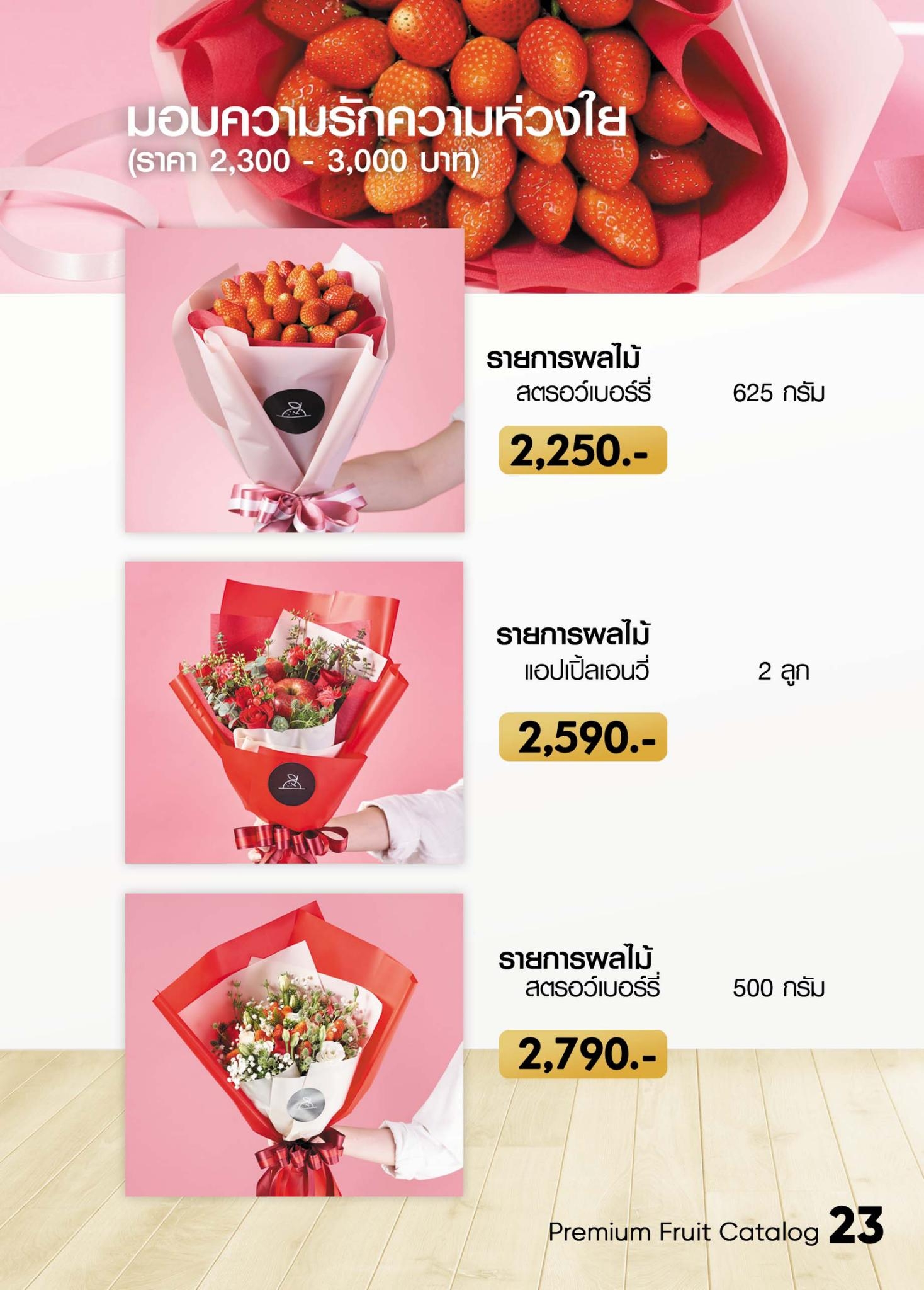 catalog